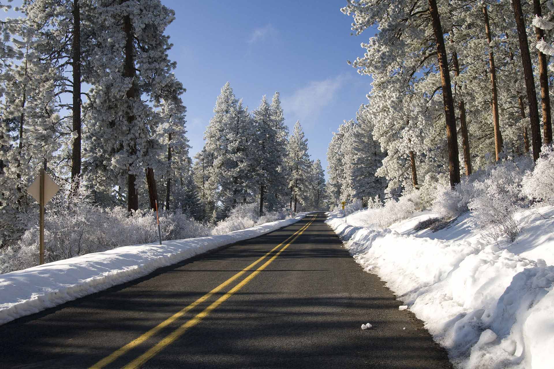 viaggia in sicurezza con easy transfer