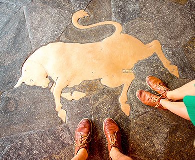 shopping con il tuo autista per le vie di Torino