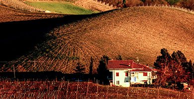 noleggia la tua auto con autista e fatti un giro in libertà per le vie di torino