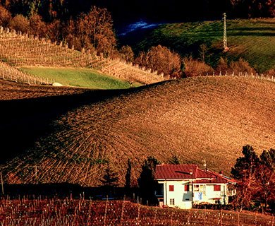 otur dove vuoi con il tuo autista personale
